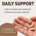 herbtonics-pure-ceylon-cinnamon-capsules-6.jpg