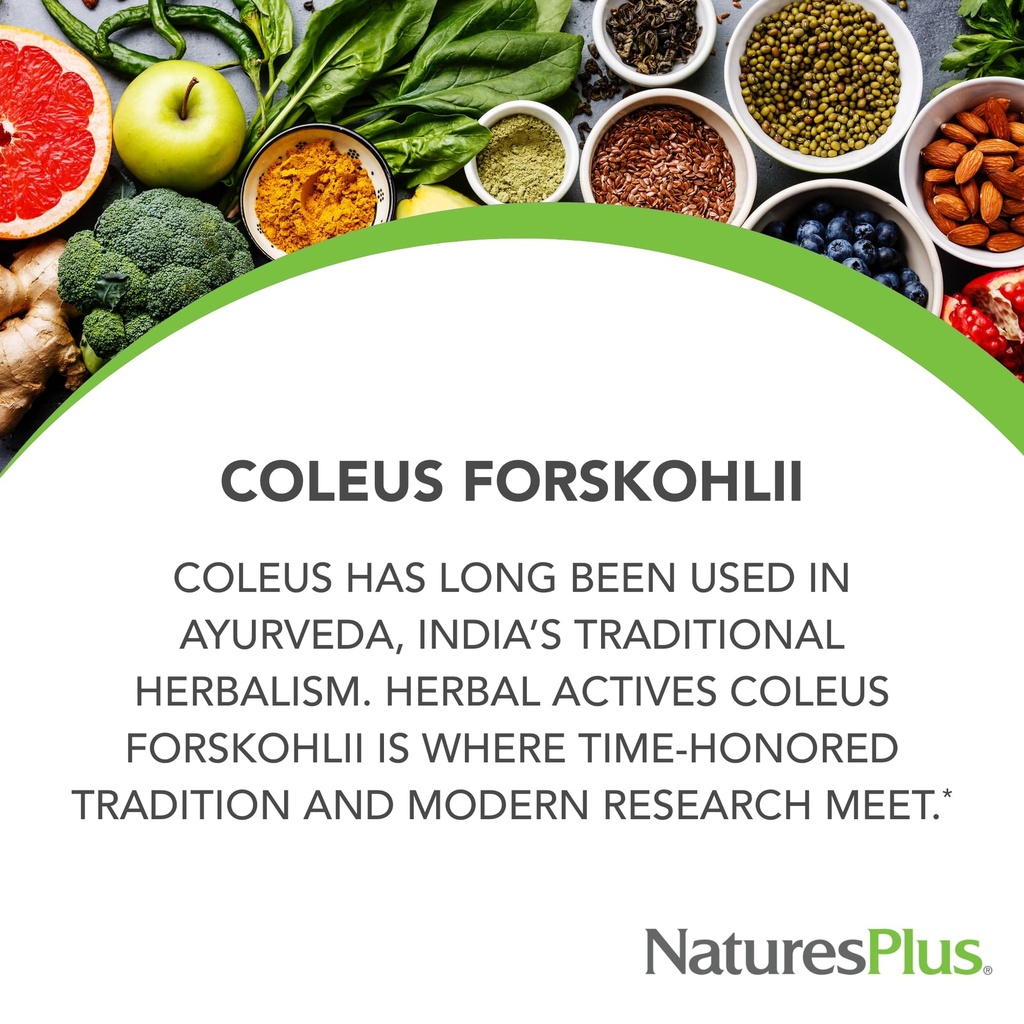 naturesplus-herbal-actives-coleus-forsko-4.jpg