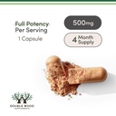 rhodiola-rosea-supplement-500mg-120-vega-3.jpg