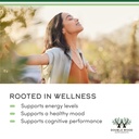 rhodiola-rosea-supplement-500mg-120-vega-6.jpg