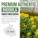 max-strength-siberian-rhodiola-rhodiola--4.jpg