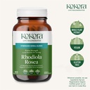 kokora-extra-strength-rhodiola-rosea-str-4.jpg