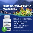 simply-potent-siberian-rhodiola-rosea-ca-2.jpg