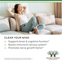 organic-lions-mane-mushroom-capsules-300-3.jpg