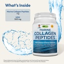 andrew-lessman-marine-collagen-peptides--3.jpg