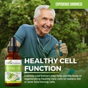 herbal-goodness-organic-soursop-graviola-3.jpg