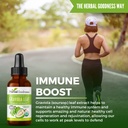 herbal-goodness-organic-soursop-graviola-4.jpg