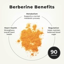 lifeseasons-berberine-support-for-digest-2.jpg