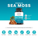thomas-all-natural-remedies-irish-sea-mo-2.jpg
