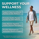 clean-nutra-organic-sea-moss-capsules-wi-2.jpg