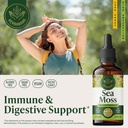 herbamama-irish-sea-moss-liquid-drops-ve-2.jpg
