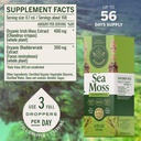 herbamama-irish-sea-moss-liquid-drops-ve-3.jpg