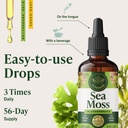 herbamama-irish-sea-moss-liquid-drops-ve-6.jpg
