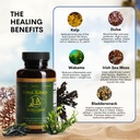 upful-blends-sea-elements-ultimate-sea-v-4.jpg