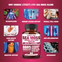 all-in-1-8885mg-highest-potency-sea-moss-2.jpg