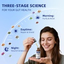 parasite-cleanse-for-humans-21-in-1-worm-4.jpg