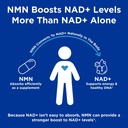 gnc-preventive-nutrition-nmn-150-mg-nad--3.jpg