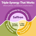 saffron-mood-mental-clarity-bundle-pure--4.jpg