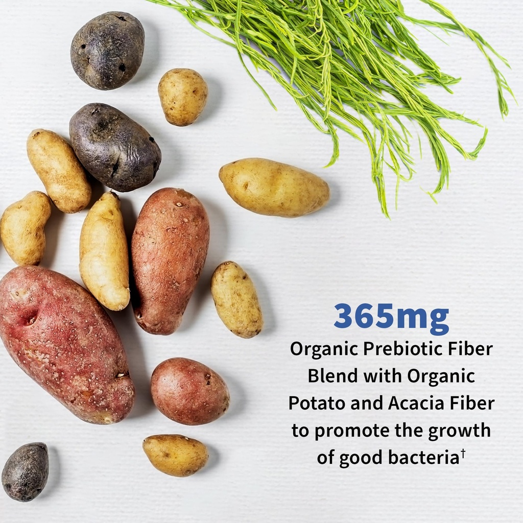 garden-of-life-probiotics-for-men-dr-for-3.jpg
