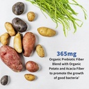garden-of-life-probiotics-for-men-dr-for-3.jpg
