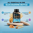 glucosamine-chondroitin-msm-collagen-hsa-4.jpg