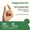 micro-ingredients-bovine-colostrum-1-000-3.jpg