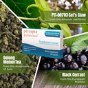 percepta-professional-brain-supplement-4.jpg