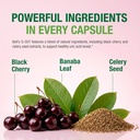 bell-g-out-uric-acid-cleanse-recommended-4.jpg