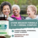 stone-breaker-chanca-piedra-capsules-dis-3.jpg