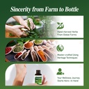 stone-breaker-chanca-piedra-extract-drop-6.jpg