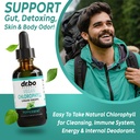lymphatic-drainage-supplements-chlorophy-5.jpg