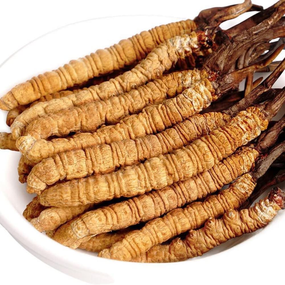 3-grams-100-wild-himalayan-cordyceps-sin-4.jpg