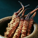 3-grams-100-wild-himalayan-cordyceps-sin-3.jpg