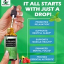 l-theanine-drops-liquid-l-theanine-suppl-3.jpg