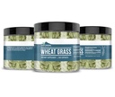 earthborn-elements-wheat-grass-200-capsu-4.jpg