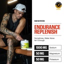 raw-replenish-premium-electrolytes-powde-2.jpg