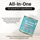 sea-moss-gummies-16-in-1-ashwagandha-bla-4.jpg