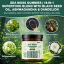 sea-moss-gummies-16-in-1-ashwagandha-bla-4.jpg