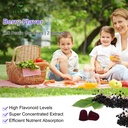afxmate-sambucus-elderberry-gummies-blac-4.jpg