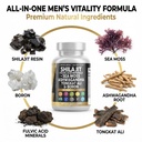 clean-nutraceuticals-shilajit-supplement-4.jpg