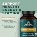 organic-lion-s-mane-mushroom-supplement--2.jpg