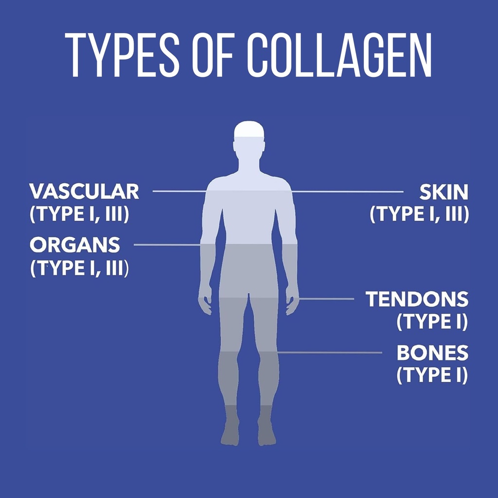naturesplus-marine-collagen-peptides-unf-4.jpg