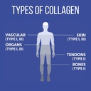 naturesplus-marine-collagen-peptides-unf-4.jpg
