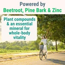 pine-bark-extract-l-arginine-l-citrullin-4.jpg