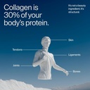 century-structural-collagen-peptides-pow-5.jpg