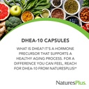 naturesplus-dhea-10-supports-energy-immu-4.jpg