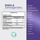 dhea-ashwagandha-supplement-385mg-ashwag-3.jpg