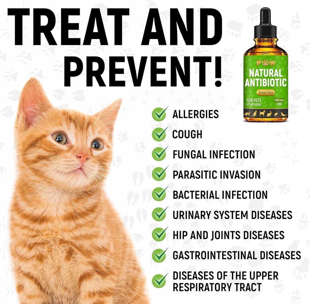 dog-antibiotics-with-chicken-flavor-сat--6.jpg