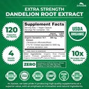 zazzee-usda-organic-dandelion-root-10-1--3.jpg