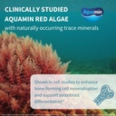 igennus-red-algae-calcium-magnesium-comp-3.jpg